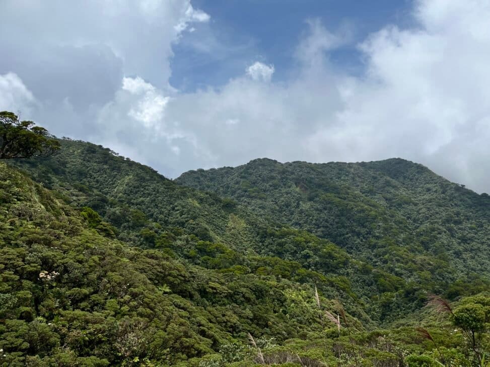 Mt. Madjaas surrounded by lush forest in Antique, symbolizing healing and grounding through nature.