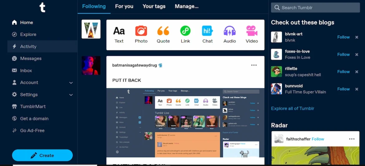 Screenshot of a Tumblr feed showing a mix of text posts, images, GIFs, and videos, highlighting the platform’s multimedia content and community engagement features.