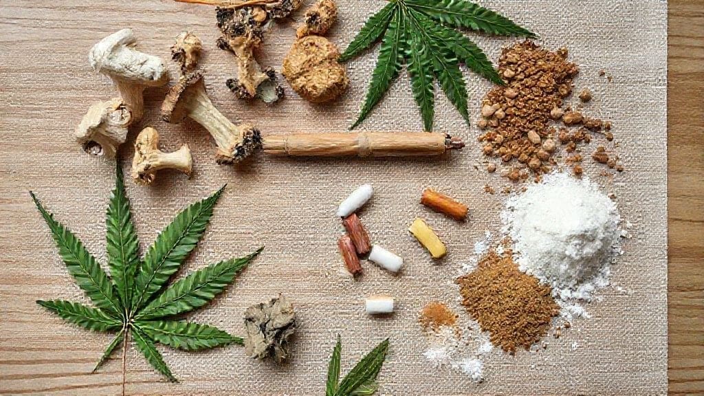 What Recreational Drugs Reveal About the Mind