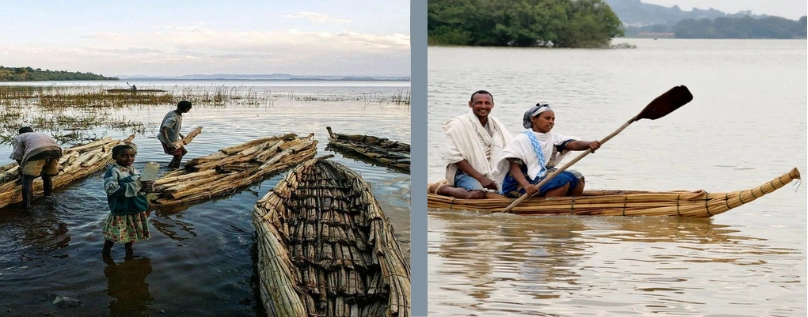 A split image of Lake Tana’s traditional tankwa boats: one side shows a couple crossing the lake in a papyrus canoe, while the other shows several tankwas docked at the port, waiting by the reeds.