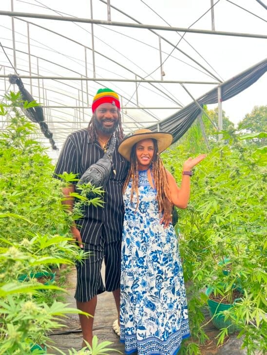 Leon and Misael standing among cannabis plants inside Happy Herb Cannabis Farm in Chiang Mai.